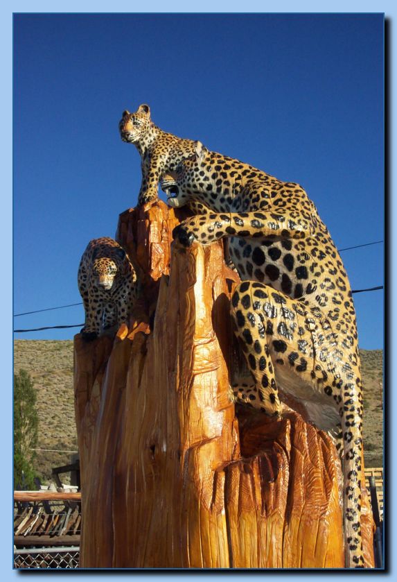 2-07 leopards-archive-0005